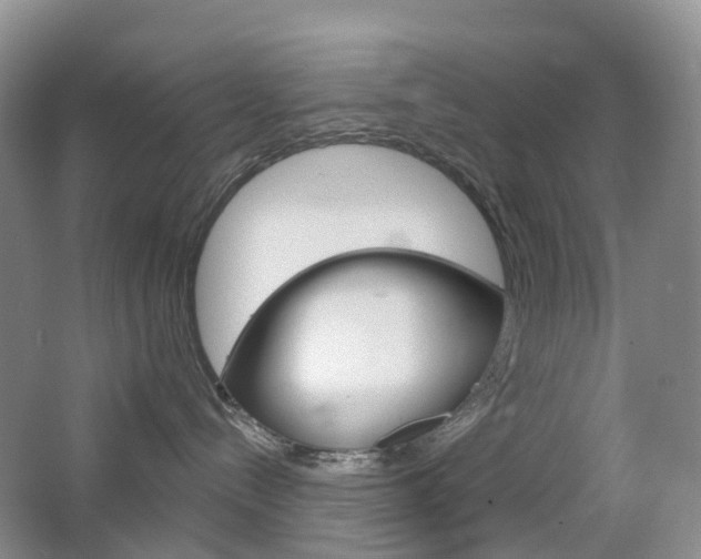 X0000065230288200602170936