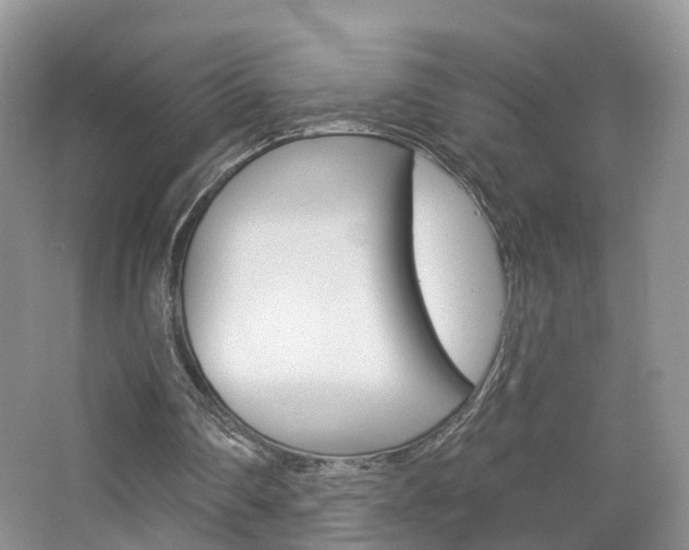 X0000065230290200602170935