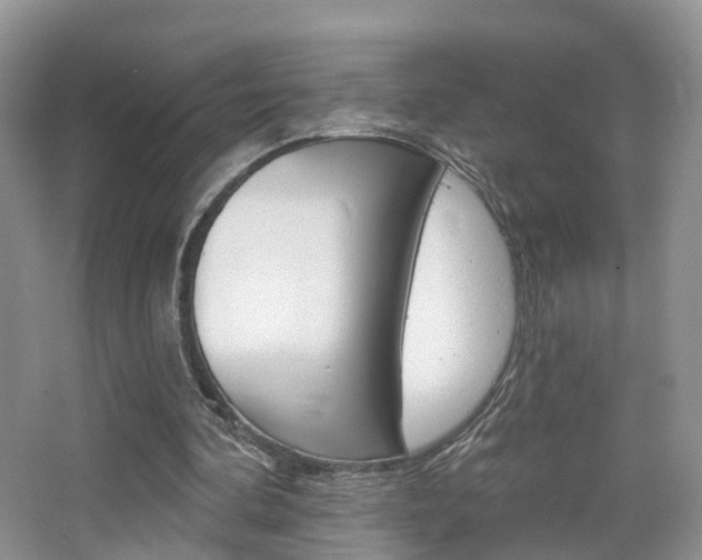 X0000065230292200602170935