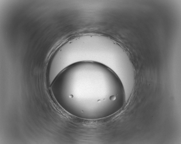 X0000065230293200602170935