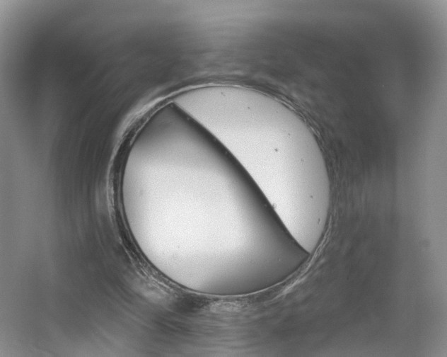 X0000065230294200602170935