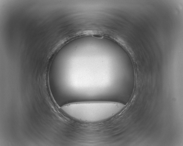 X0000065230297200602170935