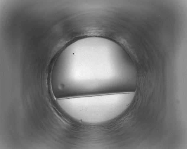 X0000065230299200602170935