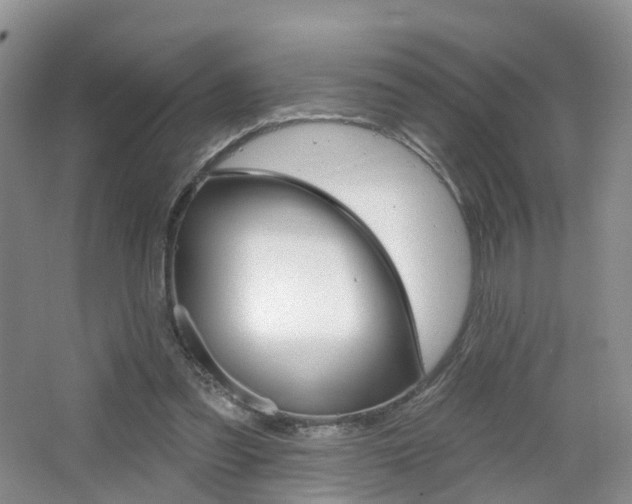 X0000065230301200602170935