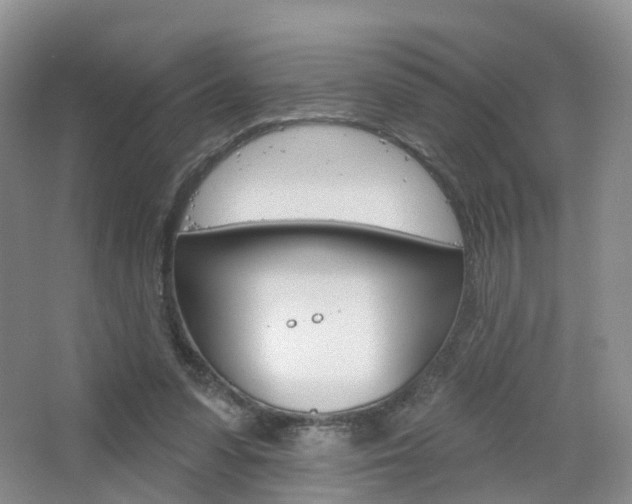 X0000065230303200602170935