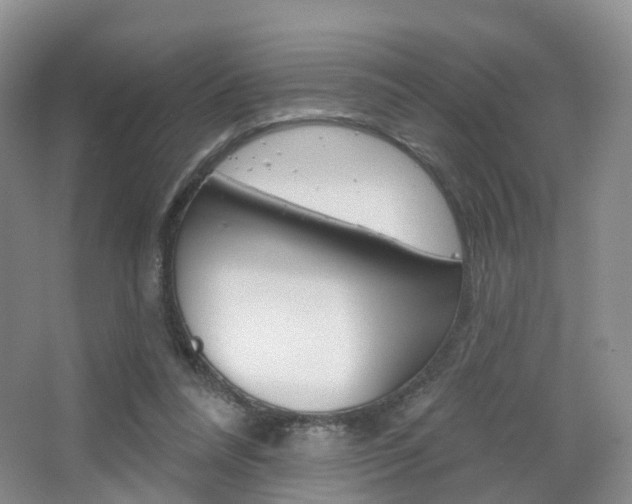 X0000065230304200602170935