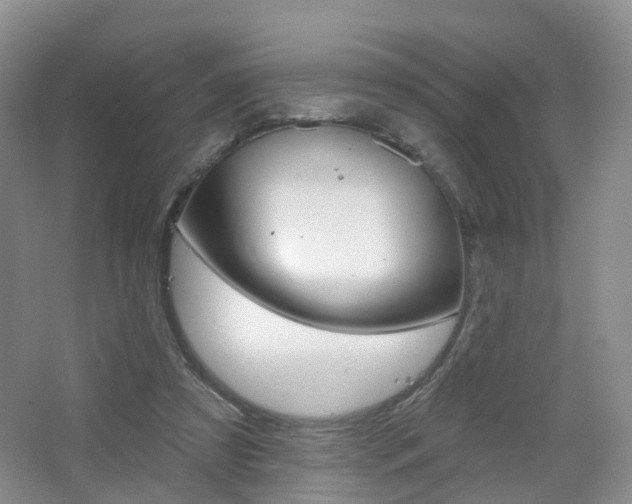 X0000065230305200602170935