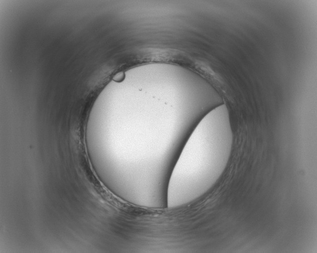 X0000065230306200602170935