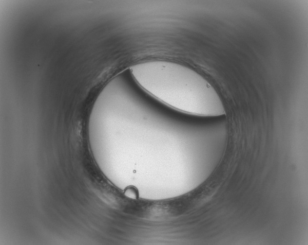 X0000065230308200602170935