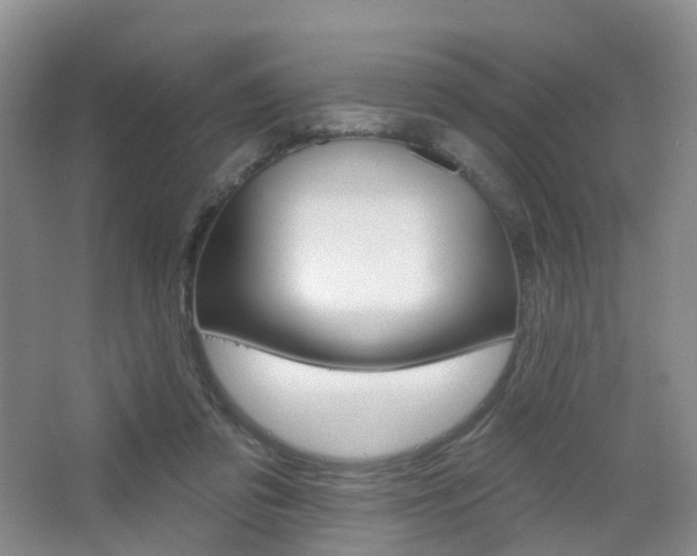 X0000065230309200602170935
