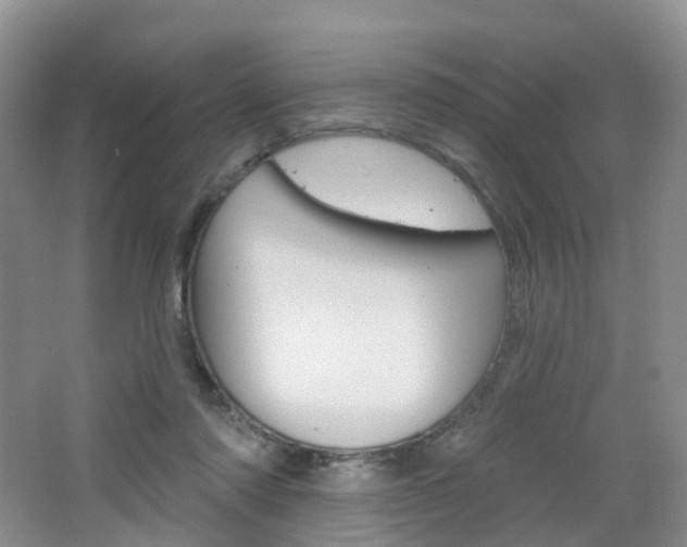 X0000065230310200602170935
