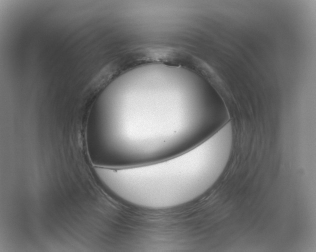 X0000065230313200602170935
