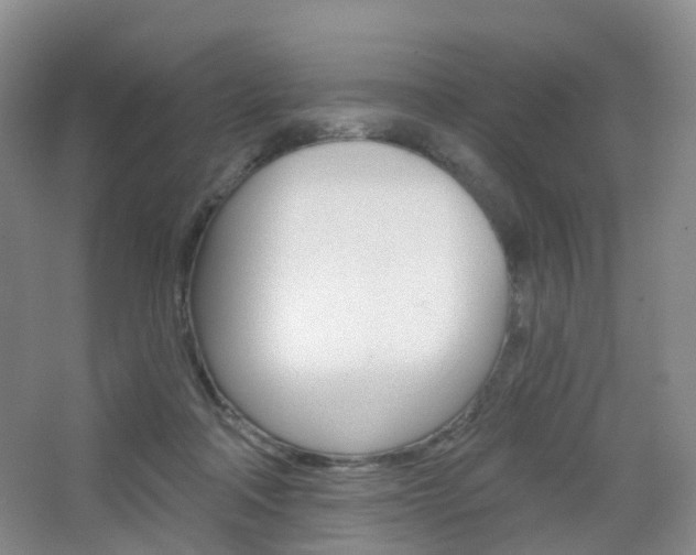 X0000065230314200602170935