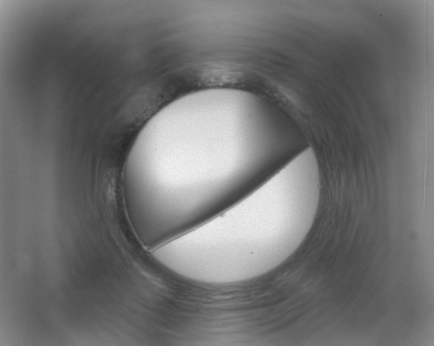 X0000065230315200602170935