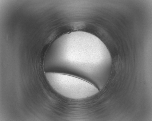 X0000065230316200602170935