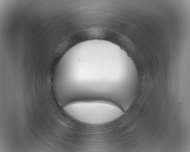 X0000065230320200602170935