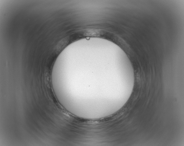 X0000065230322200602170935