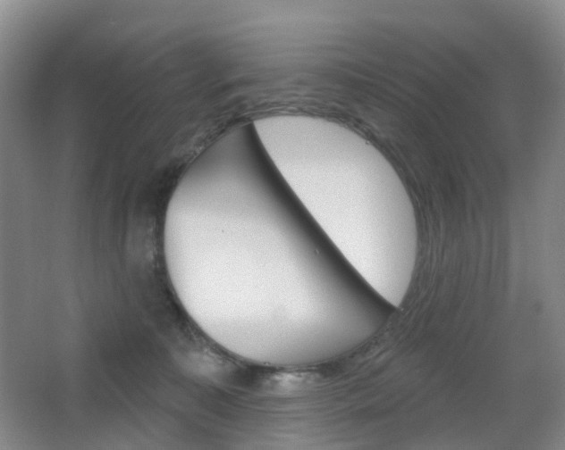 X0000065230323200602170935