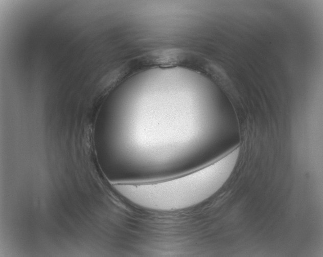 X0000065230325200602170935