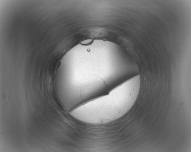 X0000065230327200602170935