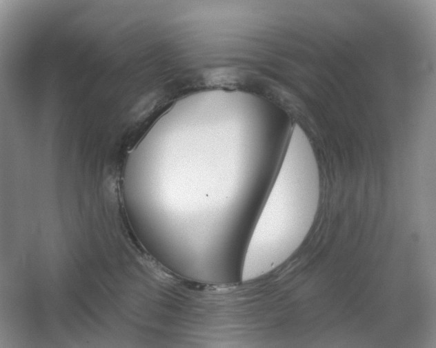 X0000065230329200602170935