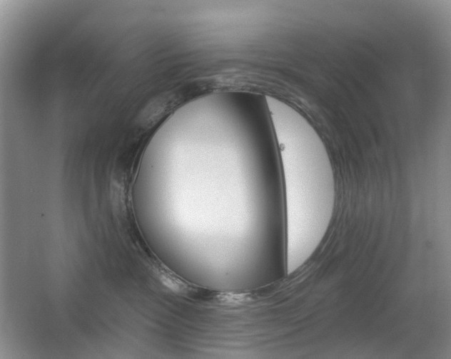 X0000065230333200602170934