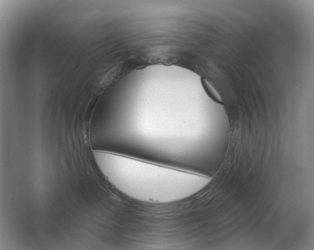 X0000065230335200602170934