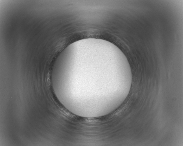 X0000065230336200602170934