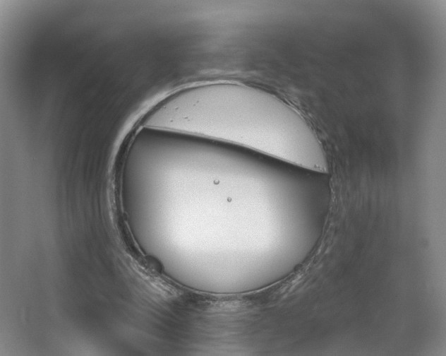 X0000065230342200602170934