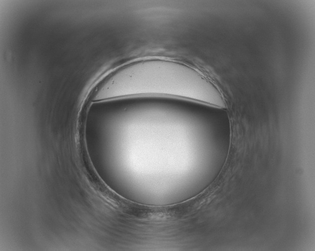 X0000065230344200602170934