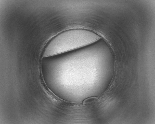 X0000065230345200602170934