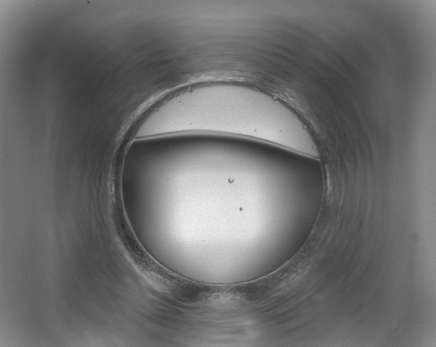 X0000065230348200602170934