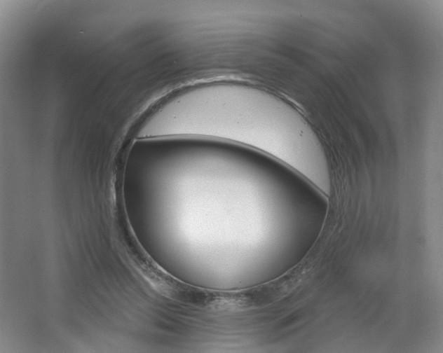 X0000065230350200602170934