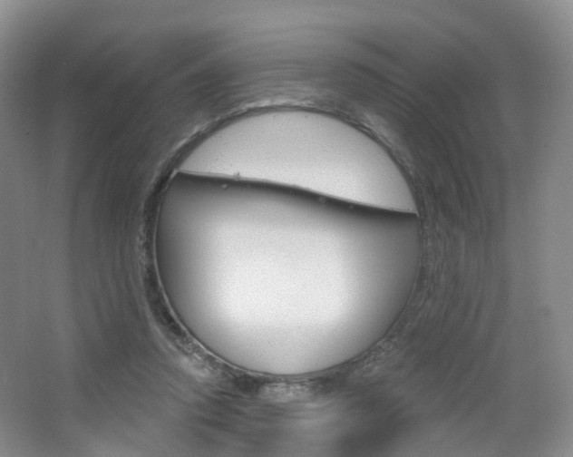 X0000065230354200602170934