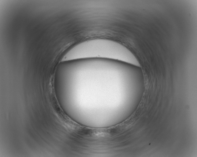 X0000065230360200602170934