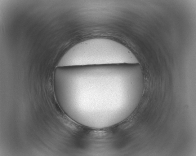 X0000065230361200602170934