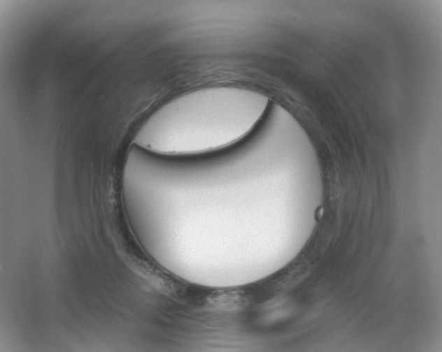 X0000065230362200602170934