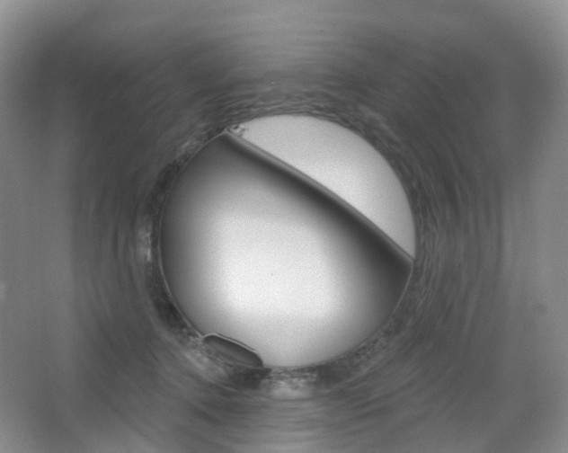 X0000065230368200602170934