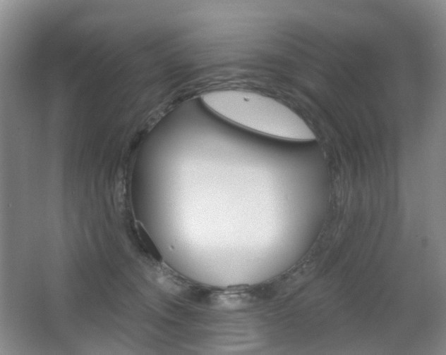 X0000065230372200602170934