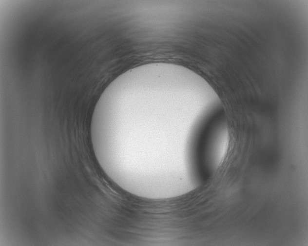 X0000065230380200602170934