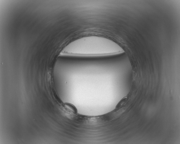 X0000065230382200602170934