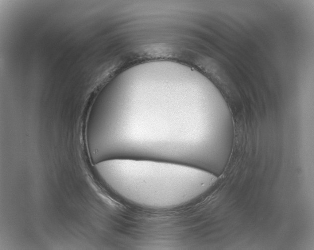 X0000065230398200602170933