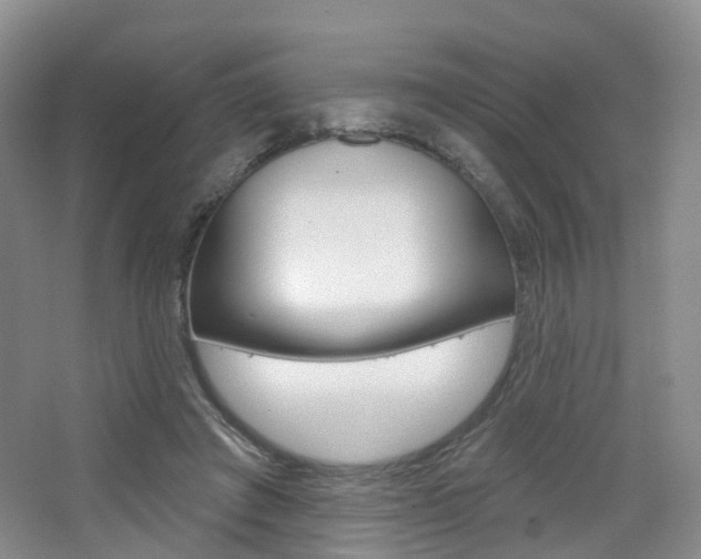 X0000065230401200602170933