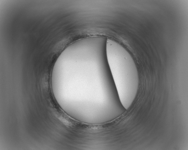 X0000065230402200602170933