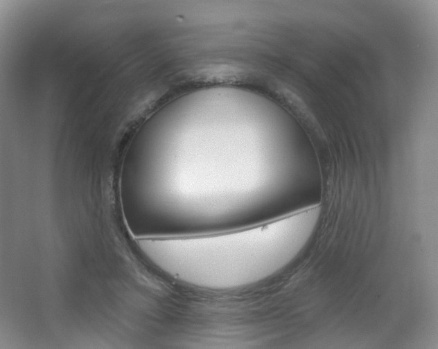 X0000065230403200602170933