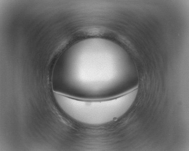 X0000065230407200602170933
