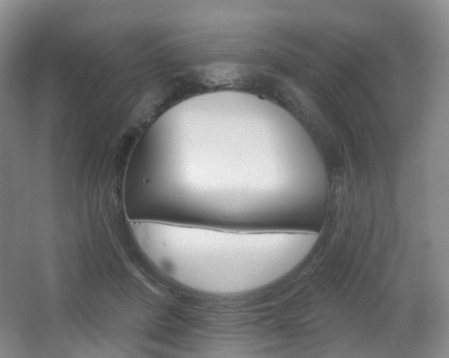 X0000065230408200602170933