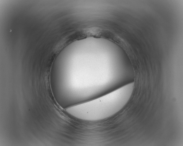X0000065230409200602170933