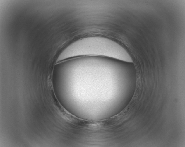 X0000065230411200602170933