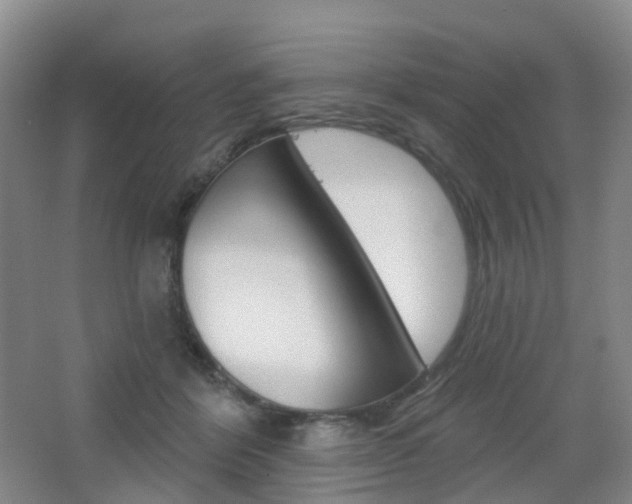 X0000065230412200602170933